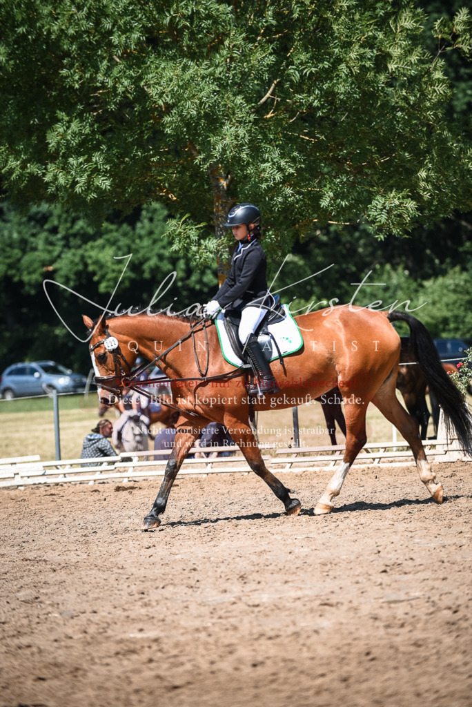 DSC_3424 | Pferde- und Turnierfotografie in Westsachsen. Pferdeportraits, Auftragszeichnungen und intuitive Kunst.