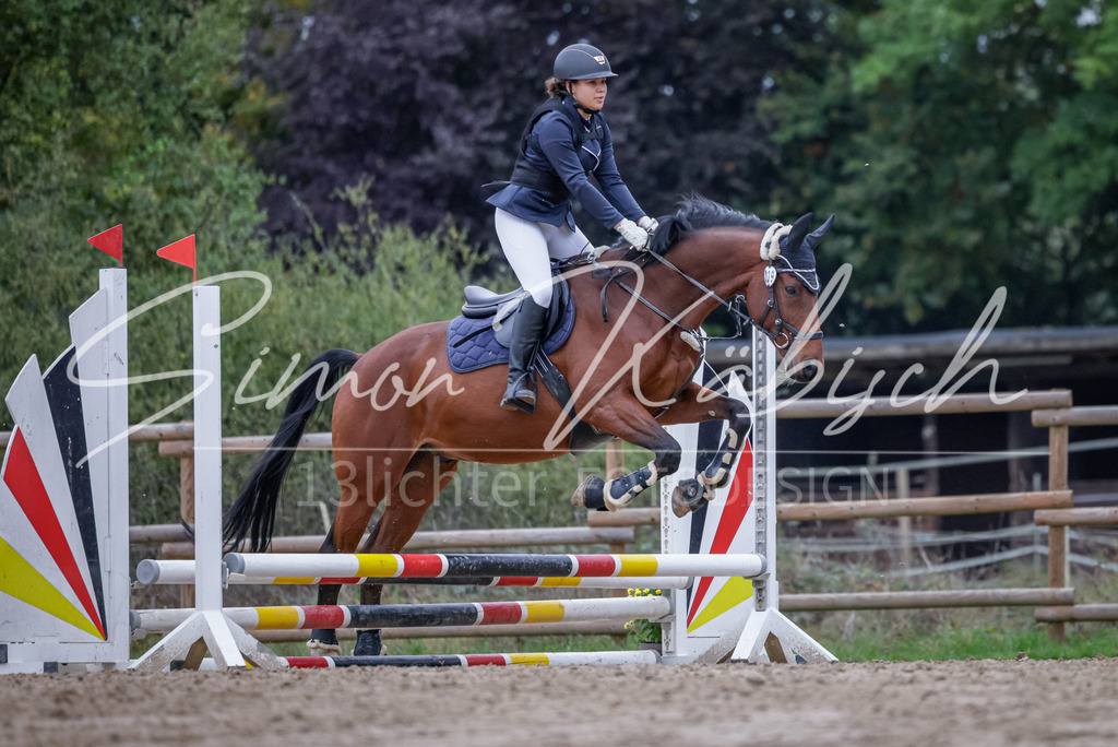 20251012-_3LI2853 | Tierfotografie Pferde, Hunde, Katzen, Haustiere.
Turnierfotografie Reitturniere, Reiten, Springreiten, Dressur in Hanau, dem Main-Kinzig-Kreis und dem Rhein-Main- Gebiet um Frankfurt