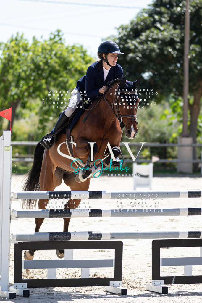 IMG_9976 | s-jay-photography - Realisiert mit Pictrs.com