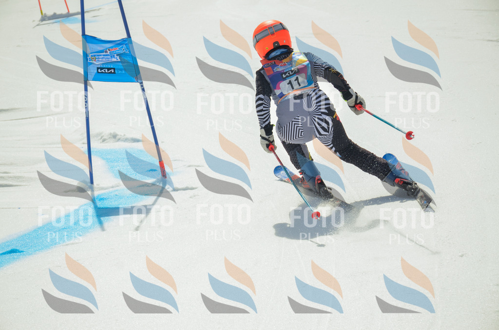 _ELE4580 | holidayphoto