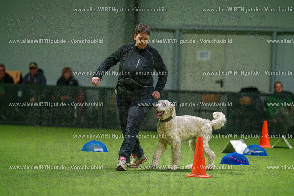 7R504291 | Professionelle Tierfotografie in Mönchengladbach von Daniel Wirth (allesWIRTHgut). Liebevolle & natürliche Bilder von Hunden & Katzen für unvergessliche Erinnerungen.