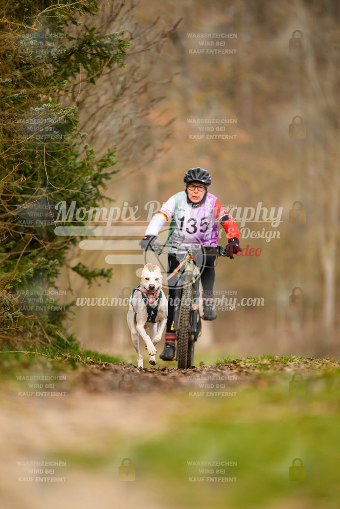 MompixPhotography_Schwabentrail2024_Bike-125 | PayLife