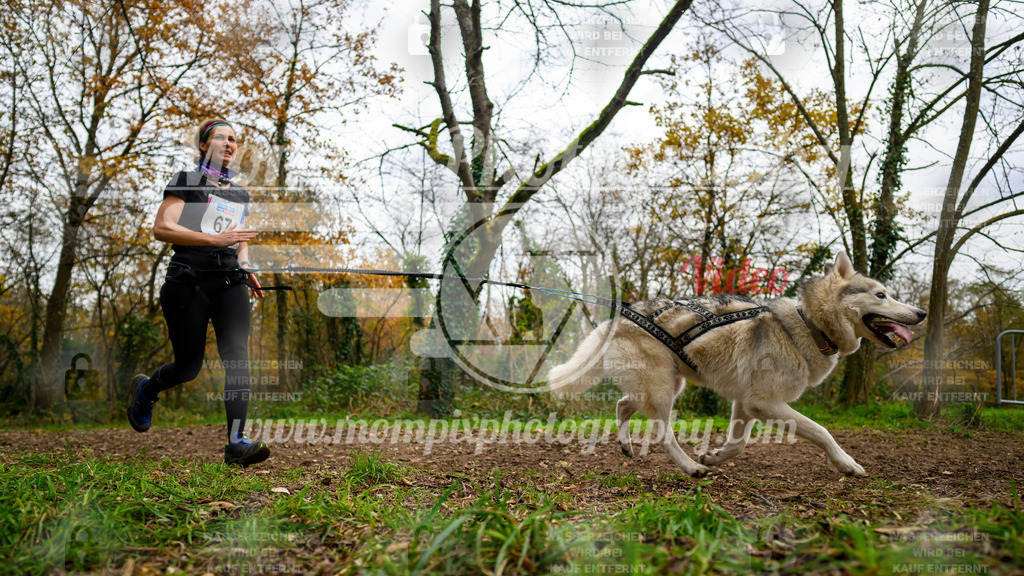 MompixPhotography_Bischwiller24_DI_CoursedeRelais-36 | PayLife