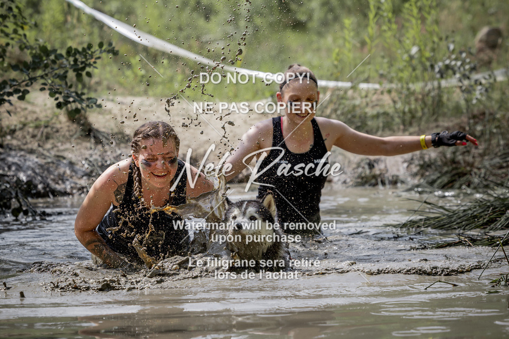 nelerasche_so1100-1145_29 | nelerasche