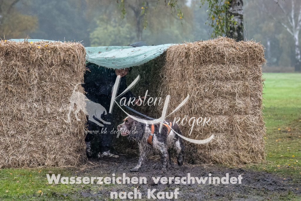 1255--4 | kk-dogfotos