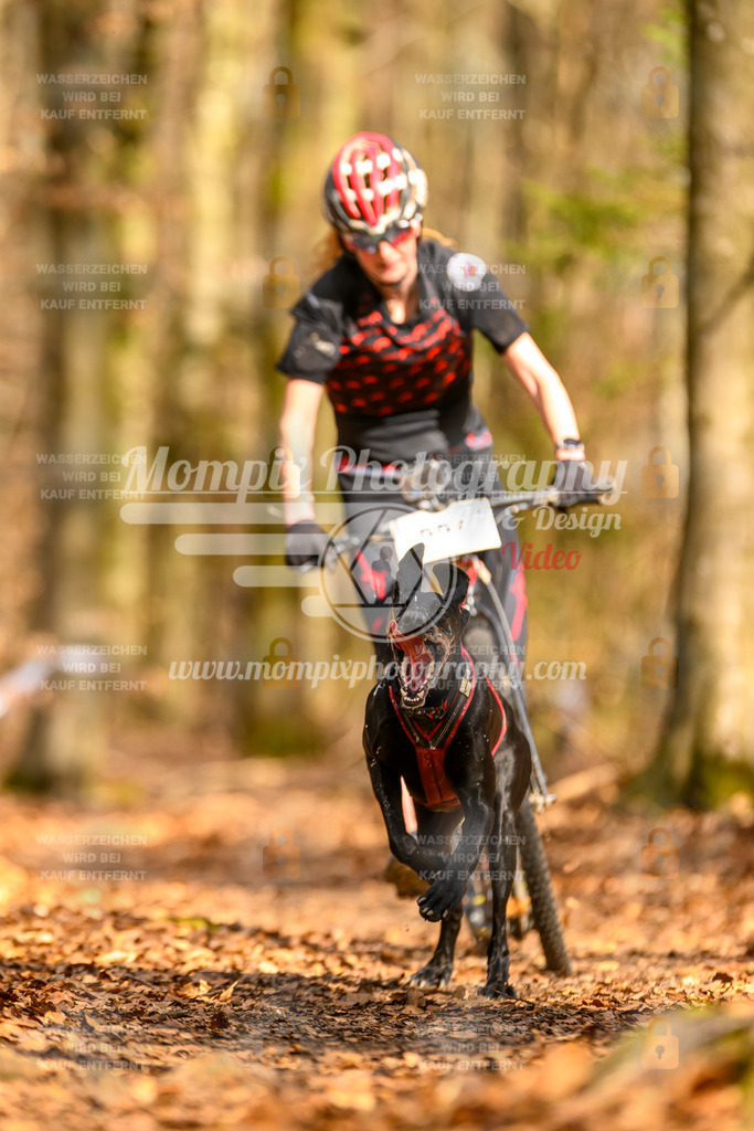 MompixPhotography_Habay2025_SA_SCO-23 | PayLife