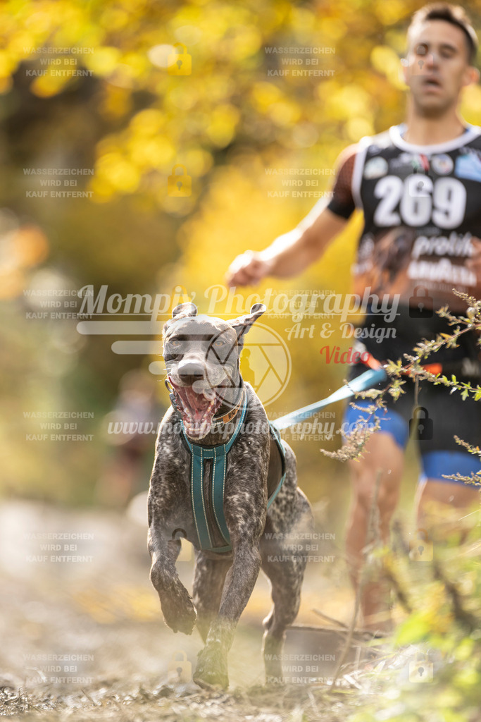 MompixPhotography_ICF_WC_2024_SA_Run_-64 | PayLife