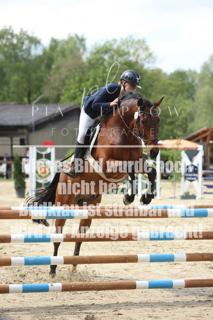 IMGM5897 | pl-fotografie