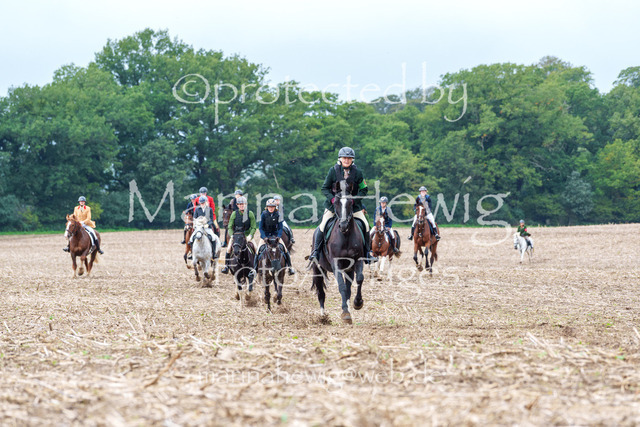 Jagd Perdoel 26 Sony-03331_MarinaHewig | Fotografie, FotoArt, PferdesportArt, Pferdesportfotografie, Landschaftsfotografie, Reisefotografie, Reise, Pferde - Realisiert mit Pictrs.com