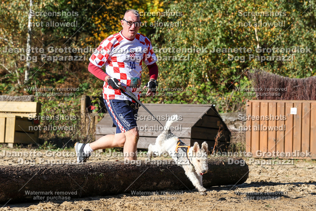 Dog Paparazzi - Strongdog 10-25-2154 | Dog Paparazzi Jeanette Grottendiek Fotografie & Videografie - Realisiert mit Pictrs.com