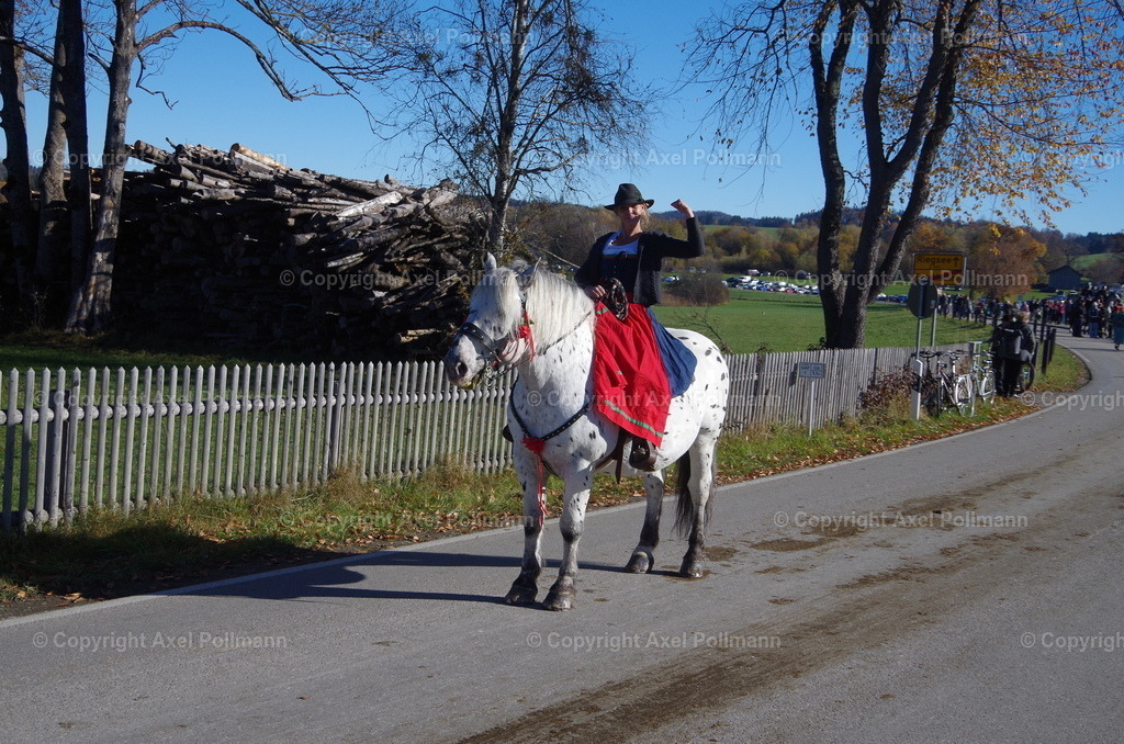IMGP7785 | fotografiert von Axel PollmannLeonhardi Wallfahrt Benediktbeuern und Murnau, Fronleichnam, Fasching, Landschaft im Loisachtal und Benediktbeuern  - Realisiert mit Pictrs.com