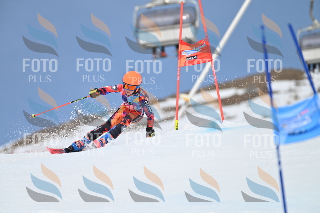 BGV_2356 | holidayphoto