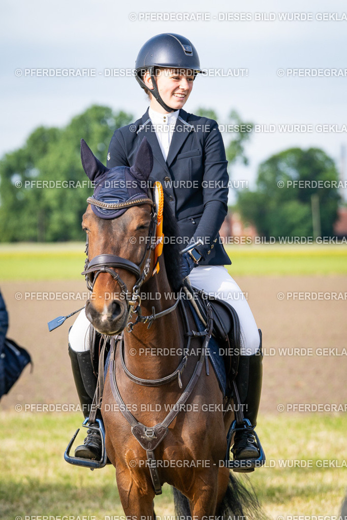 DSC03047 | Pferdegrafie