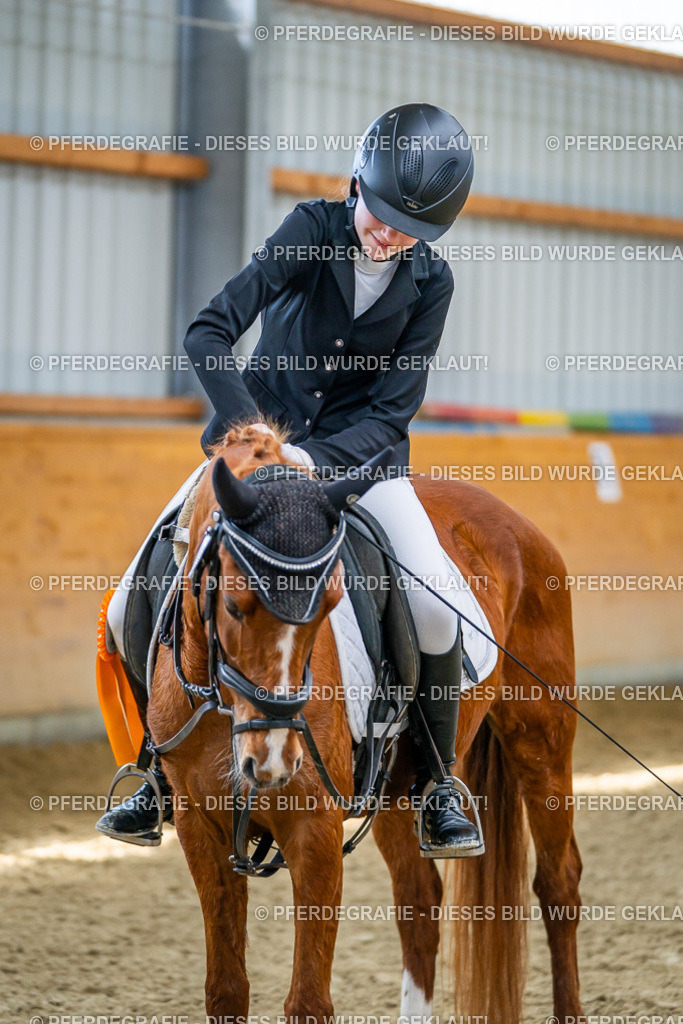 DSC03827 | Pferdegrafie