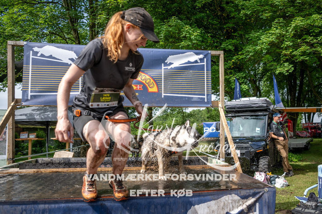 1008_ZZ94251 | kk-dogfotos