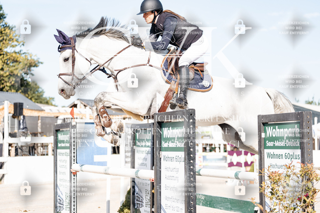 CK904358 | Turnierfotografie Pferdefotografie Trier Rheinland-Pfalz Pferdesport Reitsport Tierfotografie Sportfotografie Pferdevideo Pferdevideografie Equestrianvideography equestrianphotography  - Realisiert mit Pictrs.com