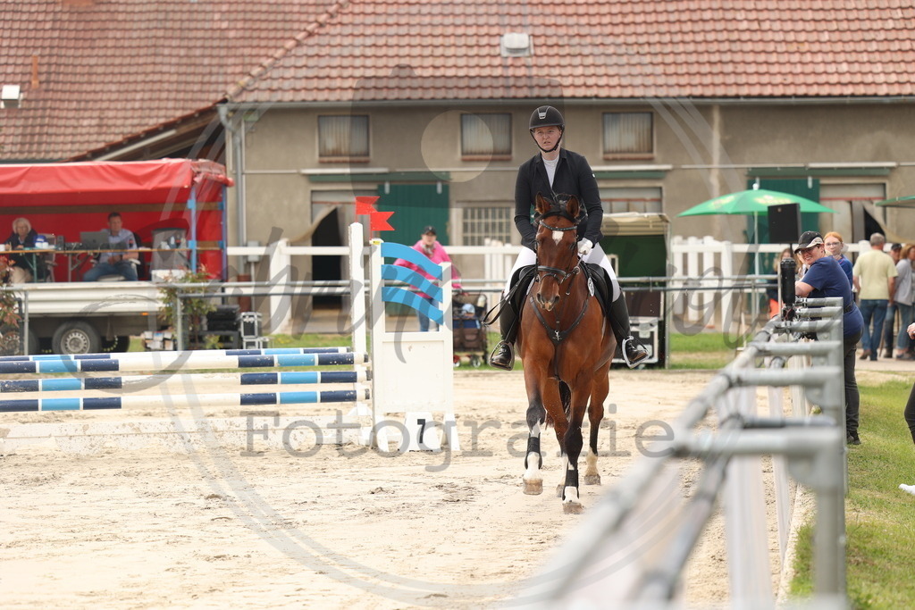 994A8140 | sabrinanicolaifotografie - Realisiert mit Pictrs.com