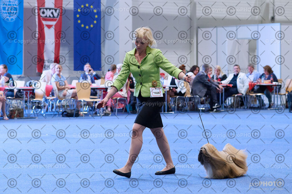 202406_ÖKV-IHA-Tulln24_DSC_4218 | proPHOTO - Realisiert mit Pictrs.com