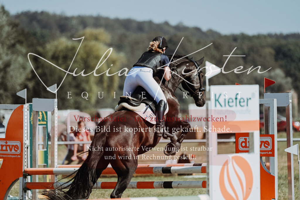 DSC_9709 | Pferde- und Turnierfotografie in Westsachsen. Pferdeportraits, Auftragszeichnungen und intuitive Kunst.