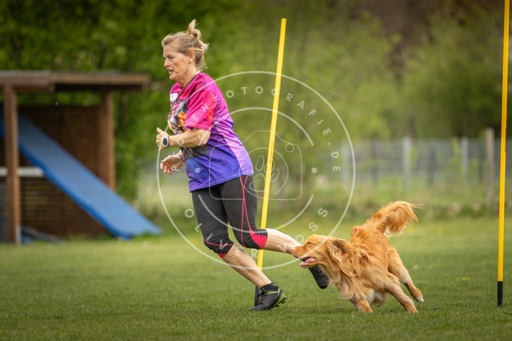 Pfotenfotografie_DV3A7588 | Hundefotografie, Tierfotograf, Pfotenfotografie, Fotoshooting Hund, Hunde Portrait, Hundesport, Hundeportraits, Heideshooting, Hunde, Sportfotograf, Hundefotograf, Turnierhundsport, THS,  - Realisiert mit Pictrs.com