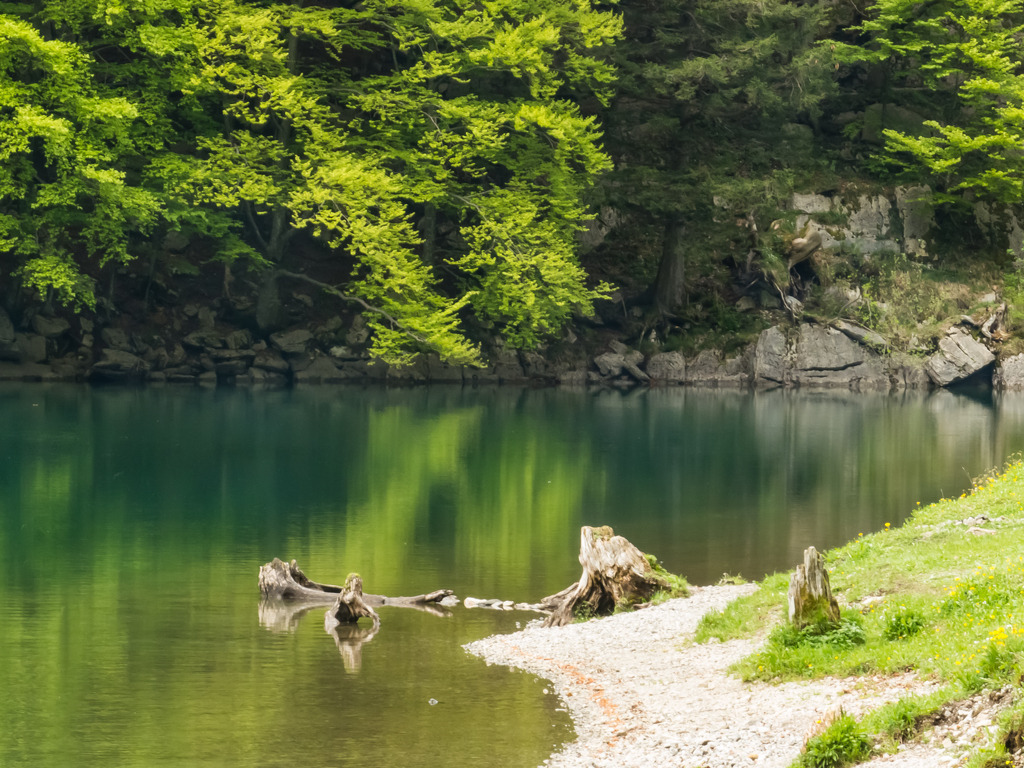 PSX_20230521_231831 | mtkfoto_ - Realisiert mit Pictrs.com