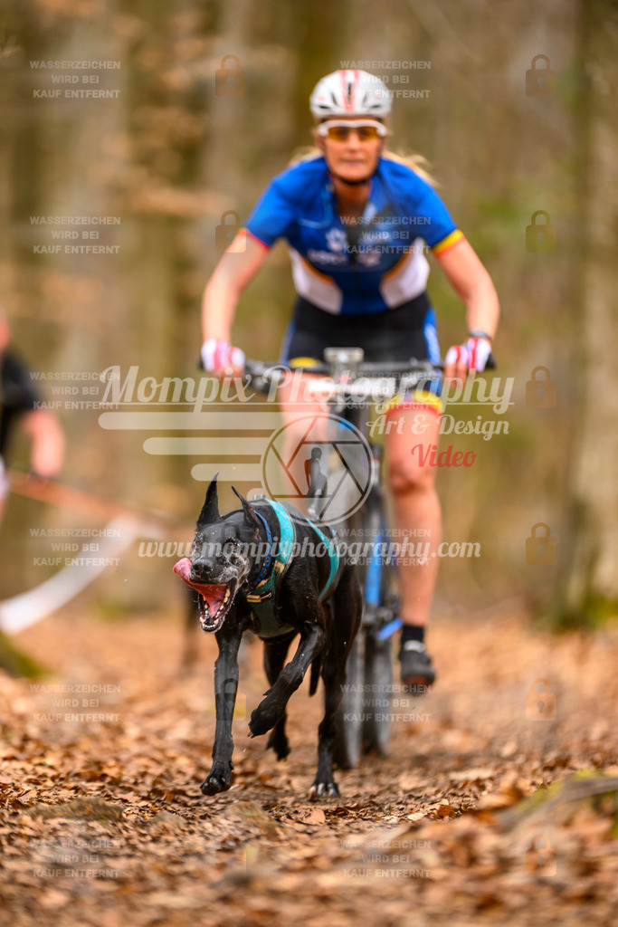 MompixPhotography_Habay2025_SA_Bike-61 | PayLife
