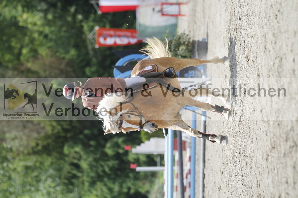 _MG_5534 | equestrian-live-com