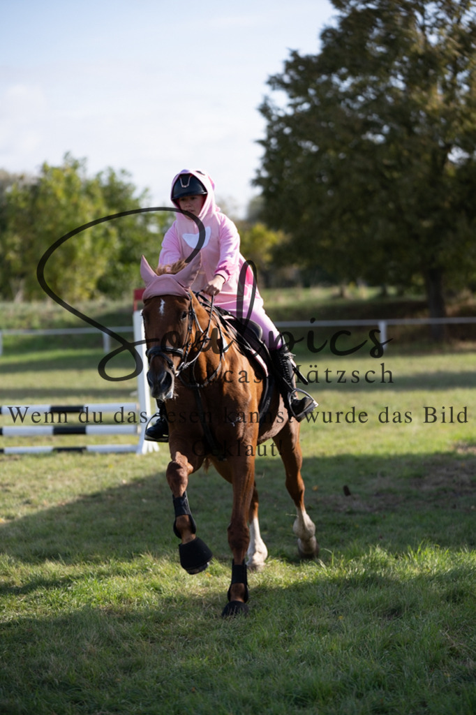 A7V06610 | Pferdefotograf