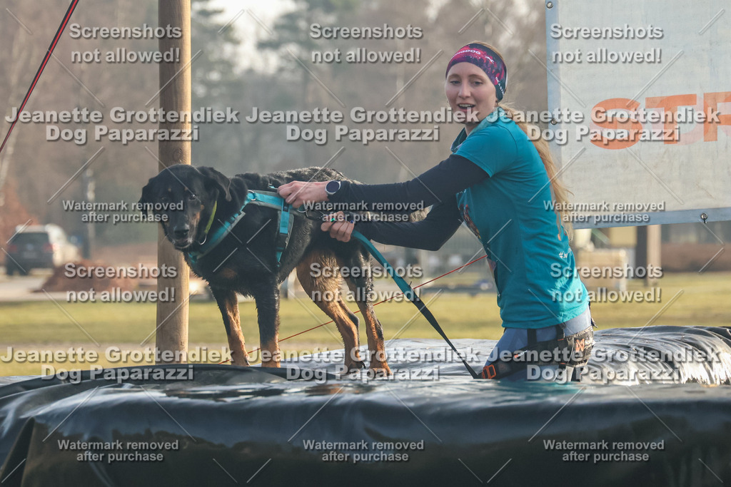 Dog Paparazzi - SD North Sa 830-900-89 | Dog Paparazzi Jeanette Grottendiek Fotografie & Videografie - Realisiert mit Pictrs.com