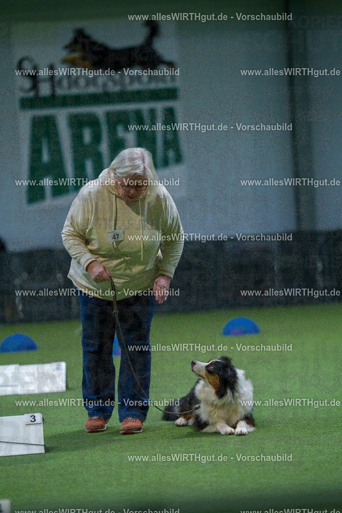 7R501436 | Professionelle Tierfotografie in Mönchengladbach von Daniel Wirth (allesWIRTHgut). Liebevolle & natürliche Bilder von Hunden & Katzen für unvergessliche Erinnerungen.