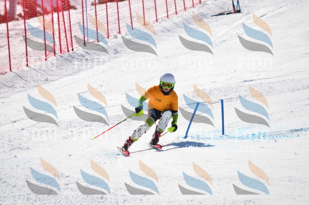 C9711 | holidayphoto