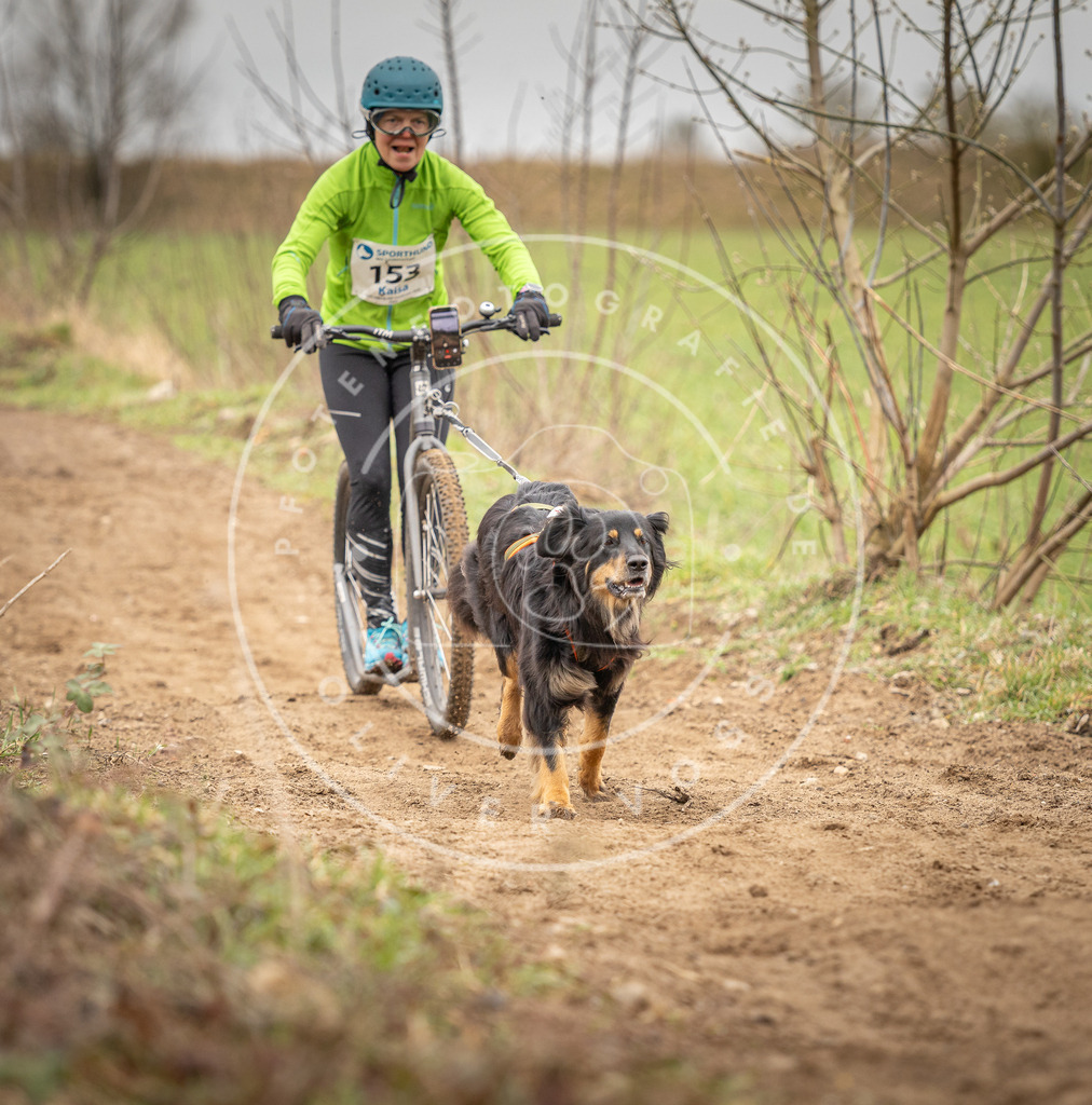 DV3A1556 | Hundefotografie, Tierfotograf, Pfotenfotografie, Fotoshooting Hund, Hunde Portrait, Hundesport, Hundeportraits, Heideshooting, Hunde, Sportfotograf, Hundefotograf, Turnierhundsport, THS,  - Realisiert mit Pictrs.com