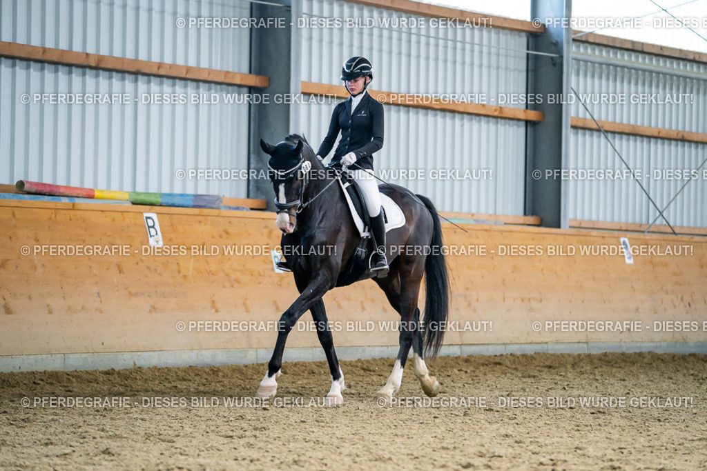 DSC05875 | Pferdegrafie