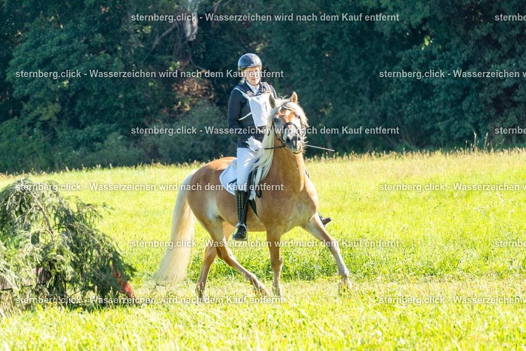 2026-08-08_08-29-46_WBO_Pulsnitz | sternberg.click - Realisiert mit Pictrs.com
