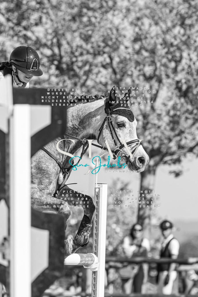 IMG_1037 | s-jay-photography - Realisiert mit Pictrs.com