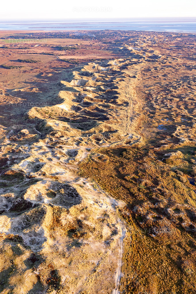 Aerial view: Wadden Sea National Park in Fanø in the state South Denmark, Denmark.Photo: IMG_118962.jpg taken on 09/21/2019 by Werner Riehm/FLY-FOTO.comResolution of the original: 3362 x 5044 px