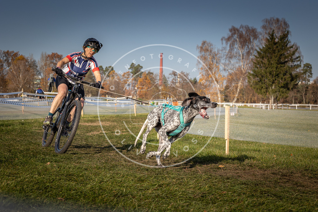 CaniXpix_0L8A7654 | Hundefotografie, Tierfotograf, Pfotenfotografie, Fotoshooting Hund, Hunde Portrait, Hundesport, Hundeportraits, Heideshooting, Hunde, Sportfotograf, Hundefotograf, Turnierhundsport, THS,  - Realisiert mit Pictrs.com