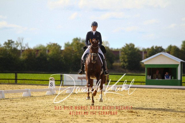 DKP45571 | Turniersportfotografie; Pferdefotografie; Dressurfotografie