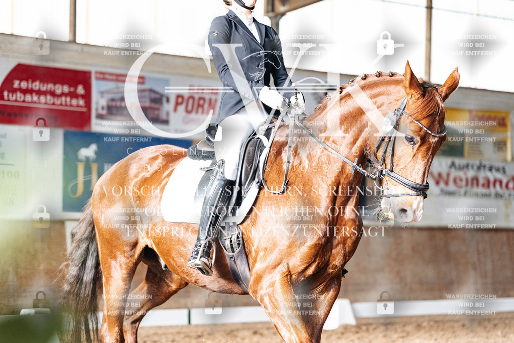CK902420 | Turnierfotografie Pferdefotografie Trier Rheinland-Pfalz Pferdesport Reitsport Tierfotografie Sportfotografie Pferdevideo Pferdevideografie Equestrianvideography equestrianphotography  - Realisiert mit Pictrs.com