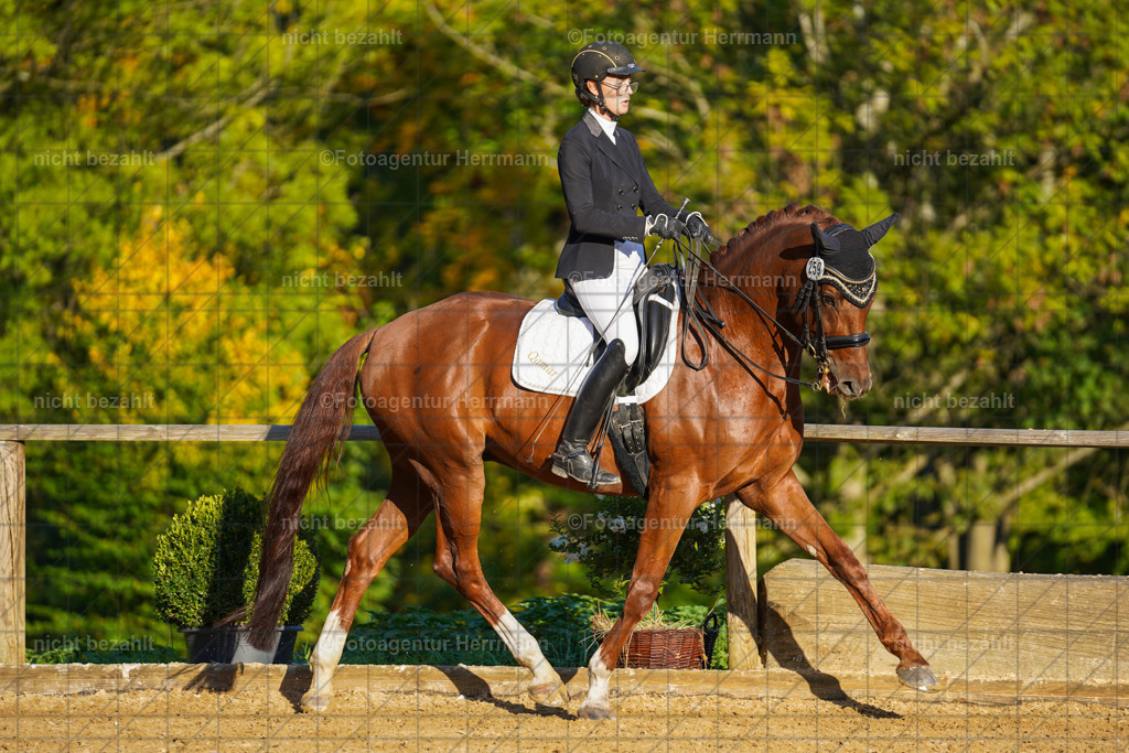 20221007-FAH00330 | Diessen am Ammersee, 2022, Dressur- und Springturnier, Reitsportbilder, Turnierfotografen Bayern, Pferdefotografen, Fotoagentur Herrmann, Turnierbilder