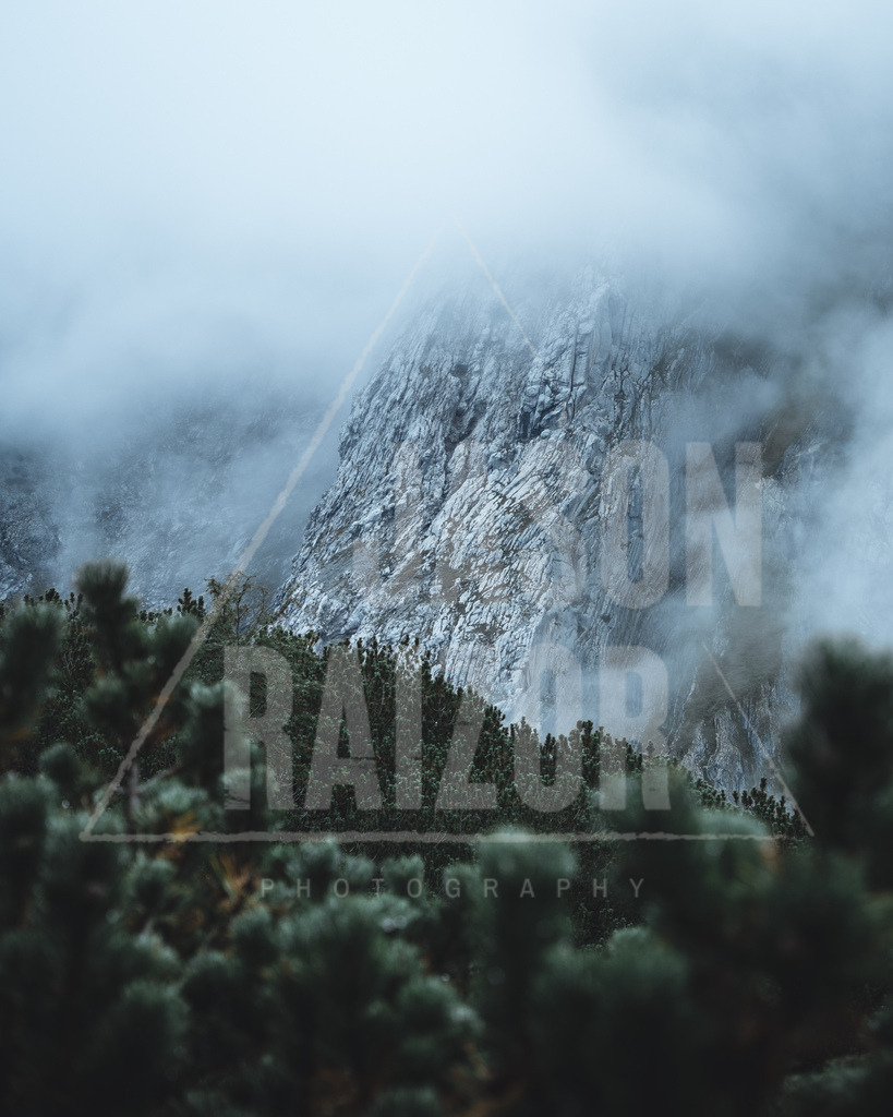 DSCF6118 | jasonraizor - Realisiert mit Pictrs.com