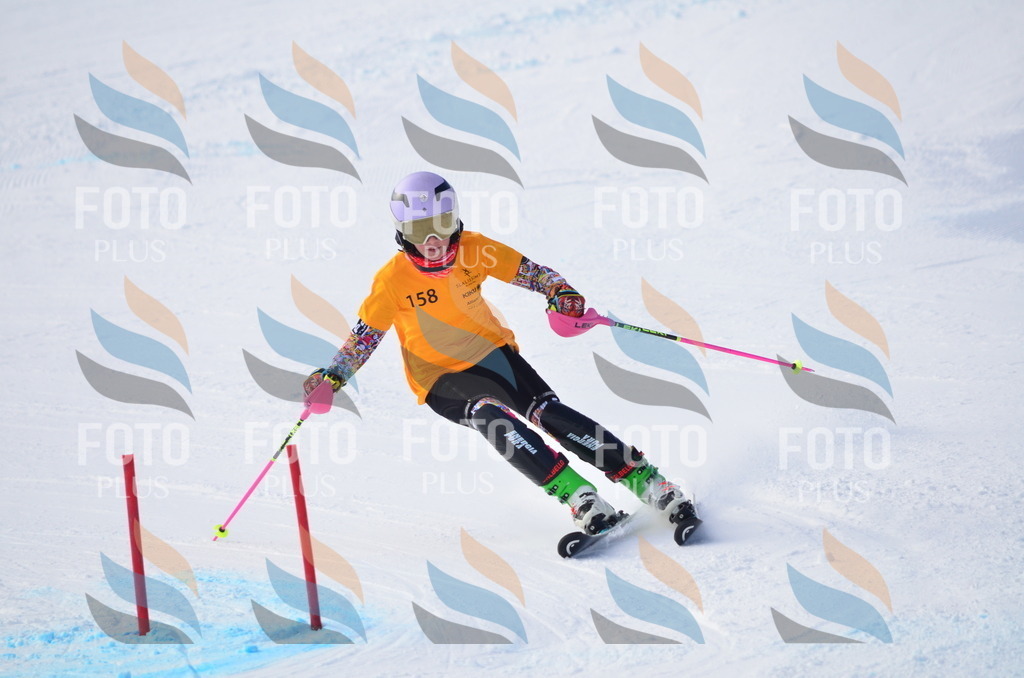 C7814 | holidayphoto