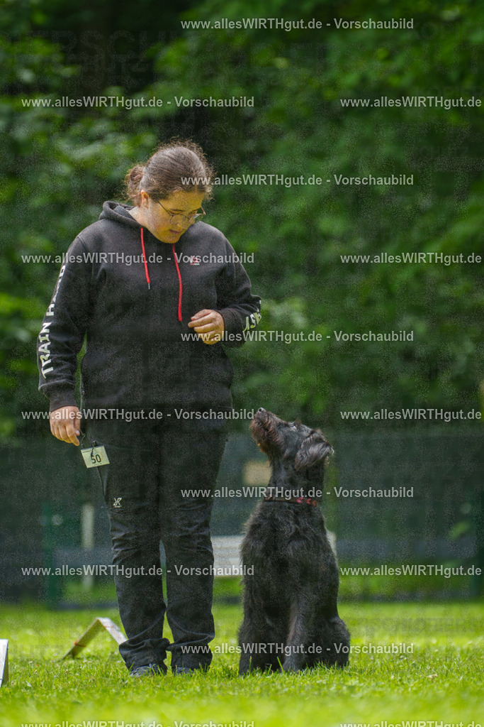 @allesWIRTHgut_Tierfotografie - www.allesWIRTHgut.de - 7R500711 | Professionelle Tierfotografie in Mönchengladbach von Daniel Wirth (allesWIRTHgut). Liebevolle & natürliche Bilder von Hunden & Katzen für unvergessliche Erinnerungen.