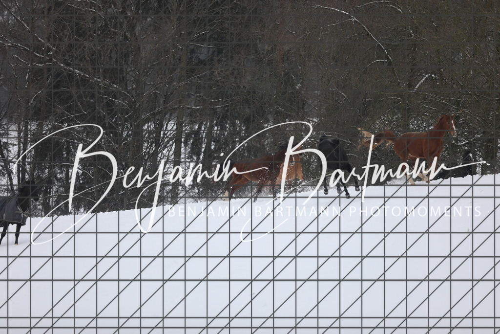 AZ2A3305 | Benjamin Bartmann Photomoments