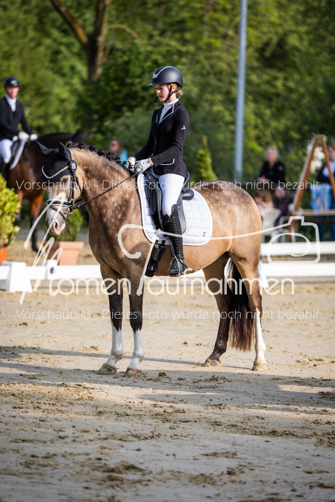 Donop24-A-Dre-029 | MomenTaufnahmen Pferdesportfotos