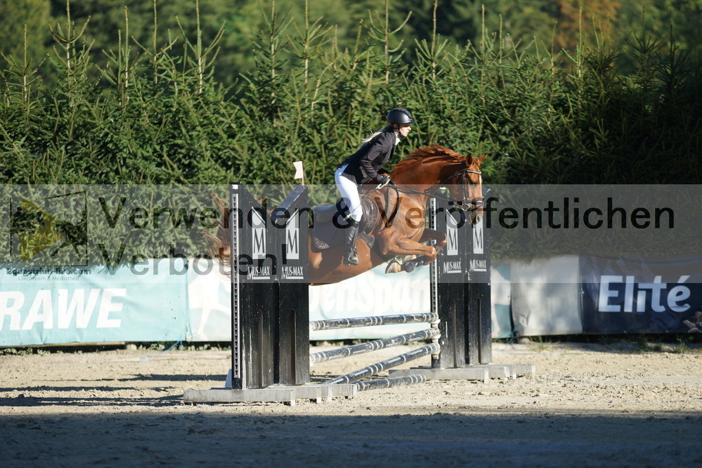 DSC08186 | equestrian-live-com