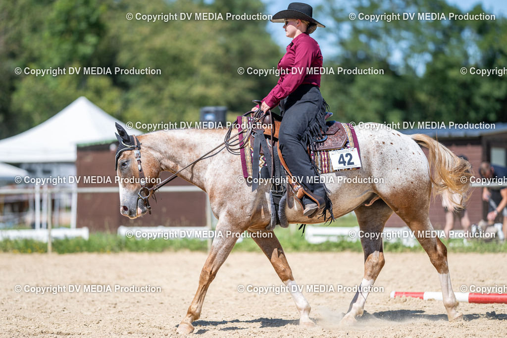 LM Heiligenwald Tag 1-1412 | dv-media-shop - Realisiert mit Pictrs.com