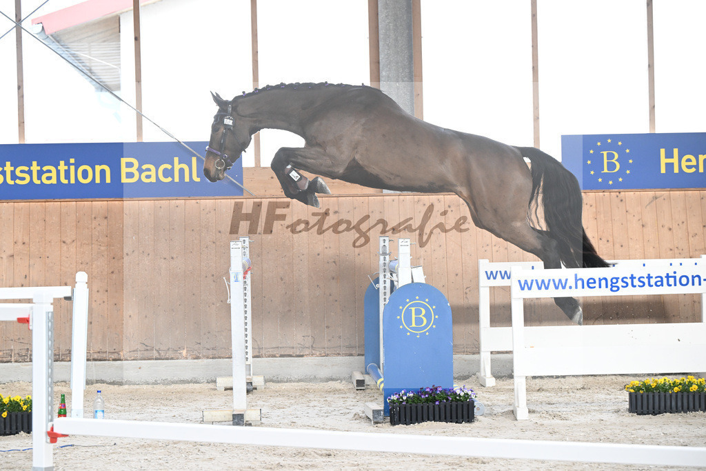 Kat-Nr. 40 Emma von Imhoff v. Cornet Obolensky_Imhoff_5250585 | hf-fotografie - Realisiert mit Pictrs.com