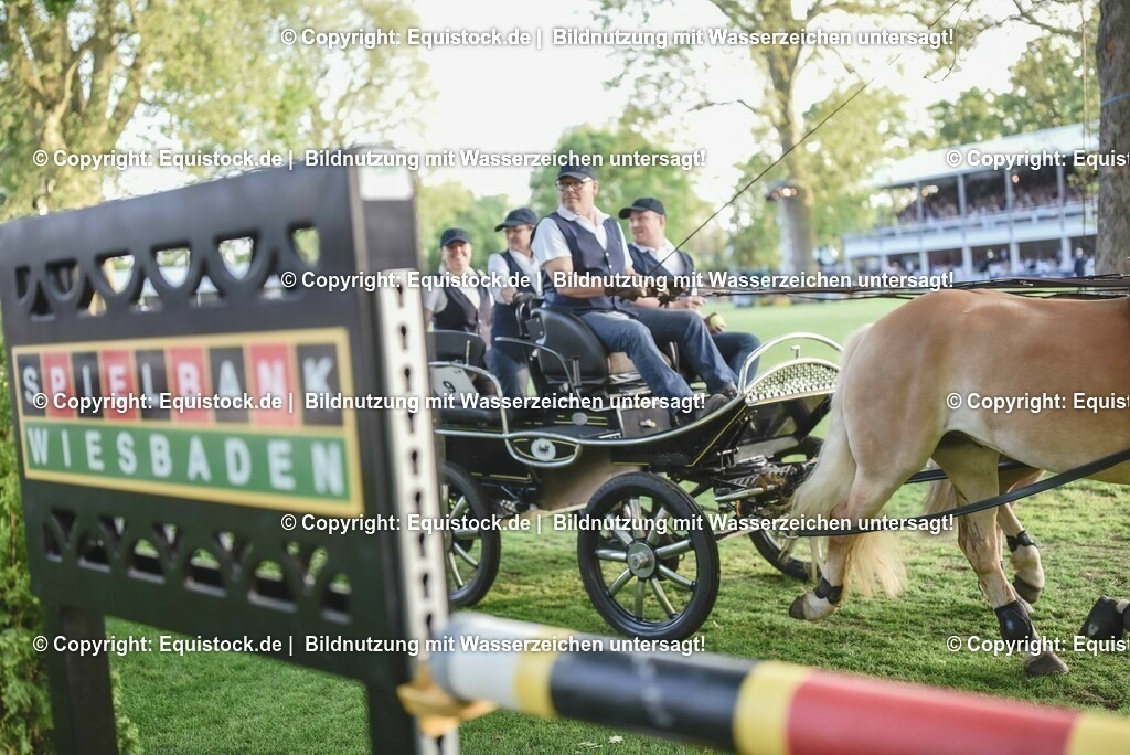 20230526_Pferdenacht_0132 | equistock