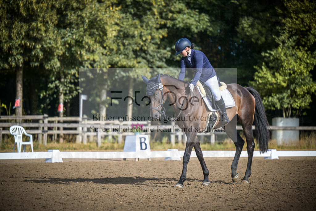 DOS_0507 | Entdecke hochwertige Reitturnierfotos von Foto Oger. Professionell, emotional und authentisch – jetzt Lieblingsmomente im Shop bestellen.Deutschlandweite Turnierfotografie. - Realisiert mit Pictrs.com